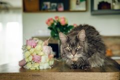 Reportage photo mariage - Adeline & Jonathan - photographe hauts-de-france nord pas-de-calais lille arras douai