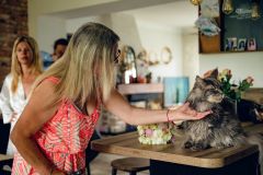 Reportage photo mariage - Adeline & Jonathan - photographe hauts-de-france nord pas-de-calais lille arras douai