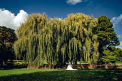 Reportage photo mariage - Asma & Ousman - photographe hauts-de-france nord pas-de-calais lille arras douai