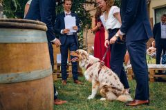 Reportage photo mariage - Astrid & Thomas - christophehetuin-mariage.com photographe & vidéaste mariage famille entreprise