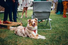 Reportage photo mariage - Astrid & Thomas - christophehetuin-mariage.com photographe & vidéaste mariage famille entreprise