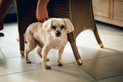 Reportage photo mariage - Florine & Corentin - photographe hauts-de-france nord pas-de-calais lille arras douai