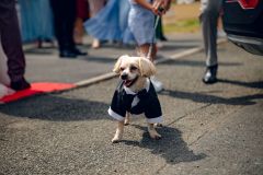 Reportage photo mariage - Florine & Corentin - photographe hauts-de-france nord pas-de-calais lille arras douai