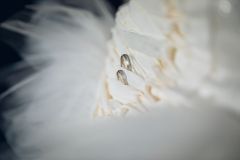 Reportage photo mariage - Manon & Wendy - christophehetuin-mariage.com photographe & vidéaste mariage famille entreprise