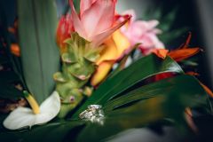 Reportage photo mariage - Sophie & David - christophehetuin-mariage.com photographe & vidéaste mariage famille entreprise