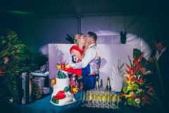 Reportage photo mariage - Sophie & David - christophehetuin-mariage.com photographe & vidéaste mariage famille entreprise