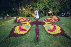 Reportage photo mariage - Stéphanie & Mathieu - photographe hauts-de-france nord pas-de-calais lille arras douai