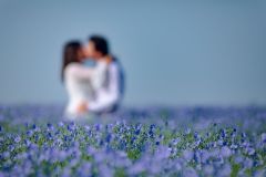 Séance photo couple save the date - Laurine & Samuel - photographe hauts-de-france nord pas-de-calais lille arras douai