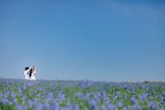 Séance photo couple save the date - Laurine & Samuel - photographe hauts-de-france nord pas-de-calais lille arras douai