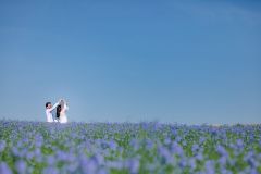 Séance photo couple save the date - Laurine & Samuel - photographe hauts-de-france nord pas-de-calais lille arras douai